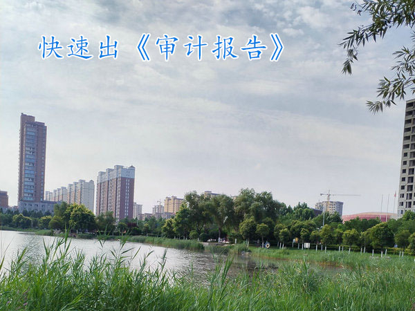 鄭州審計(jì)報(bào)告,鄭州代出審計(jì)報(bào)告